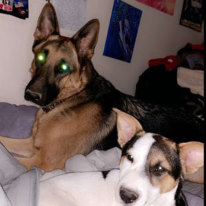 Meet your Posher, Charlie